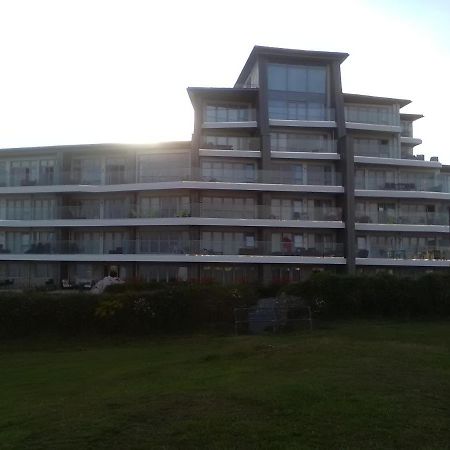 35 One Lusty Glaze View Διαμέρισμα New Quay Εξωτερικό φωτογραφία